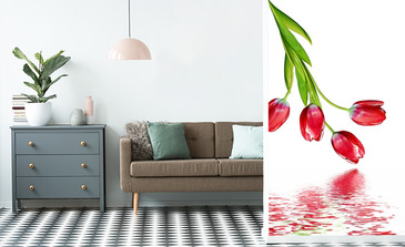 Visualisation du produit