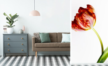 Visualisation du produit