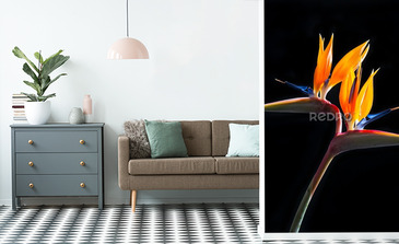 Visualisation du produit