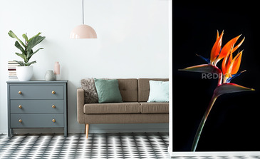 Visualisation du produit