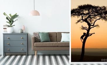 Visualisation du produit