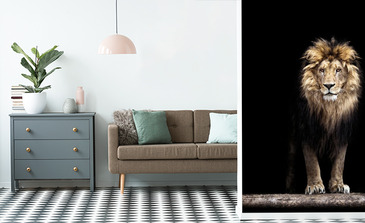 Visualisation du produit