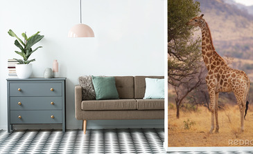 Visualisation du produit