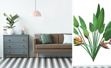 Visualisation du produit