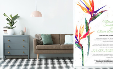 Visualisation du produit