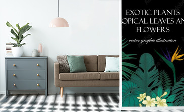 Visualisation du produit