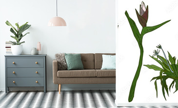 Visualisation du produit