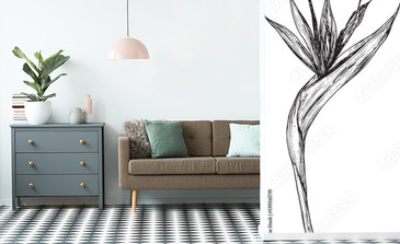 Visualisation du produit