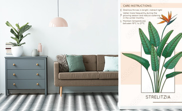 Visualisation du produit