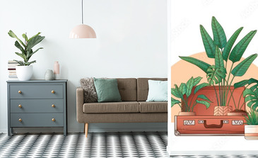 Visualisation du produit