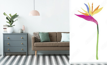 Visualisation du produit