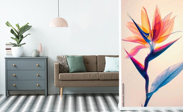 Visualisation du produit