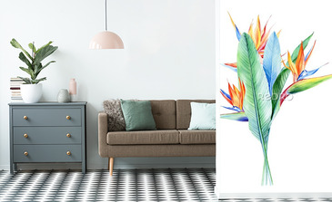 Visualisation du produit