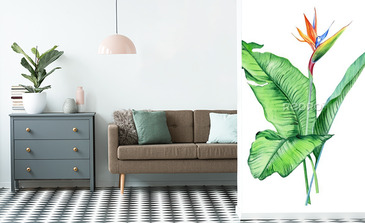 Visualisation du produit