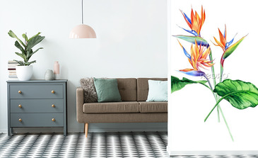 Visualisation du produit