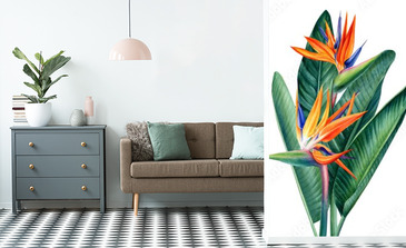 Visualisation du produit