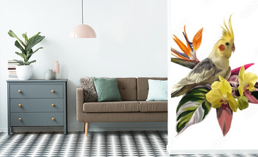 Visualisation du produit