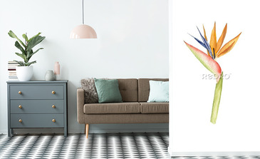 Visualisation du produit