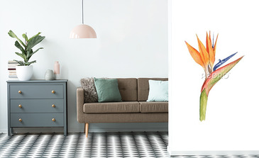 Visualisation du produit