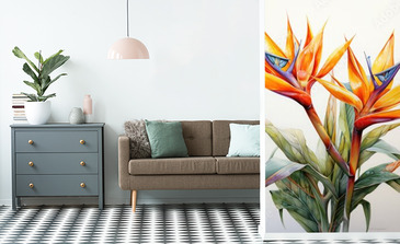 Visualisation du produit