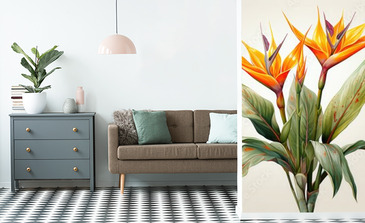 Visualisation du produit