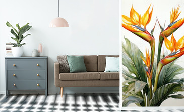 Visualisation du produit