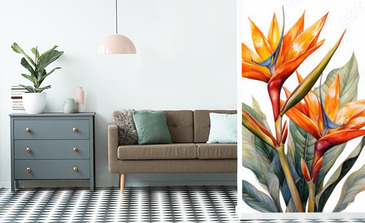 Visualisation du produit