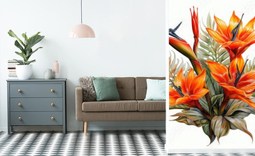 Visualisation du produit