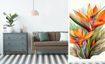 Visualisation du produit