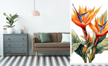 Visualisation du produit