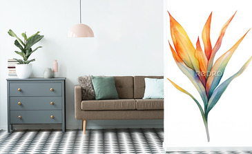 Visualisation du produit