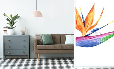 Visualisation du produit