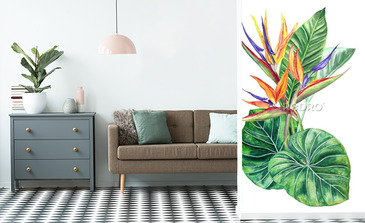 Visualisation du produit