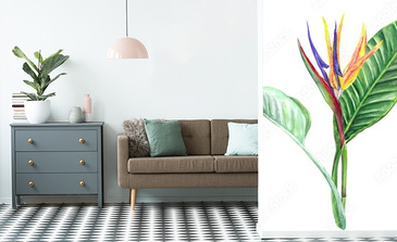 Visualisation du produit