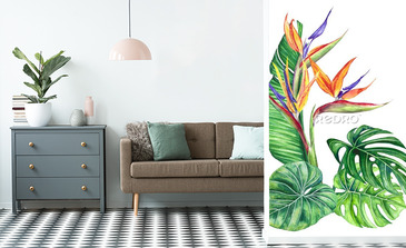 Visualisation du produit