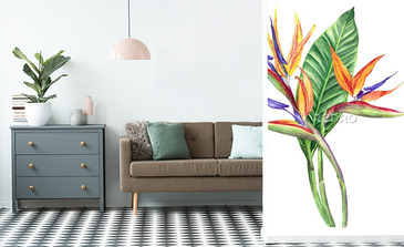 Visualisation du produit