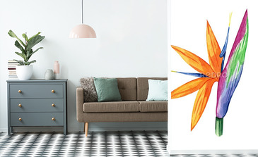 Visualisation du produit