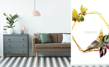 Visualisation du produit