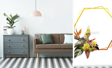 Visualisation du produit