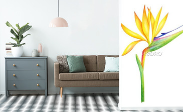 Visualisation du produit