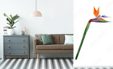 Visualisation du produit