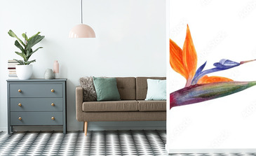 Visualisation du produit