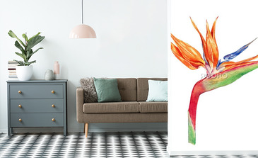 Visualisation du produit