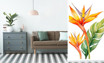 Visualisation du produit