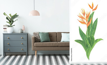 Visualisation du produit