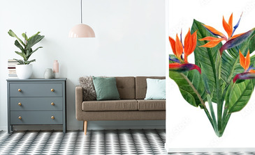 Visualisation du produit