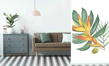 Visualisation du produit