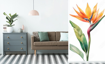 Visualisation du produit