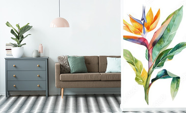 Visualisation du produit