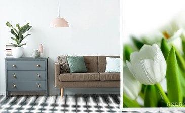 Visualisation du produit